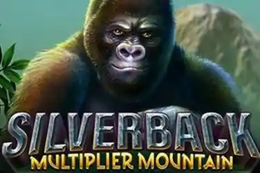 Silverback Multi Mountain222